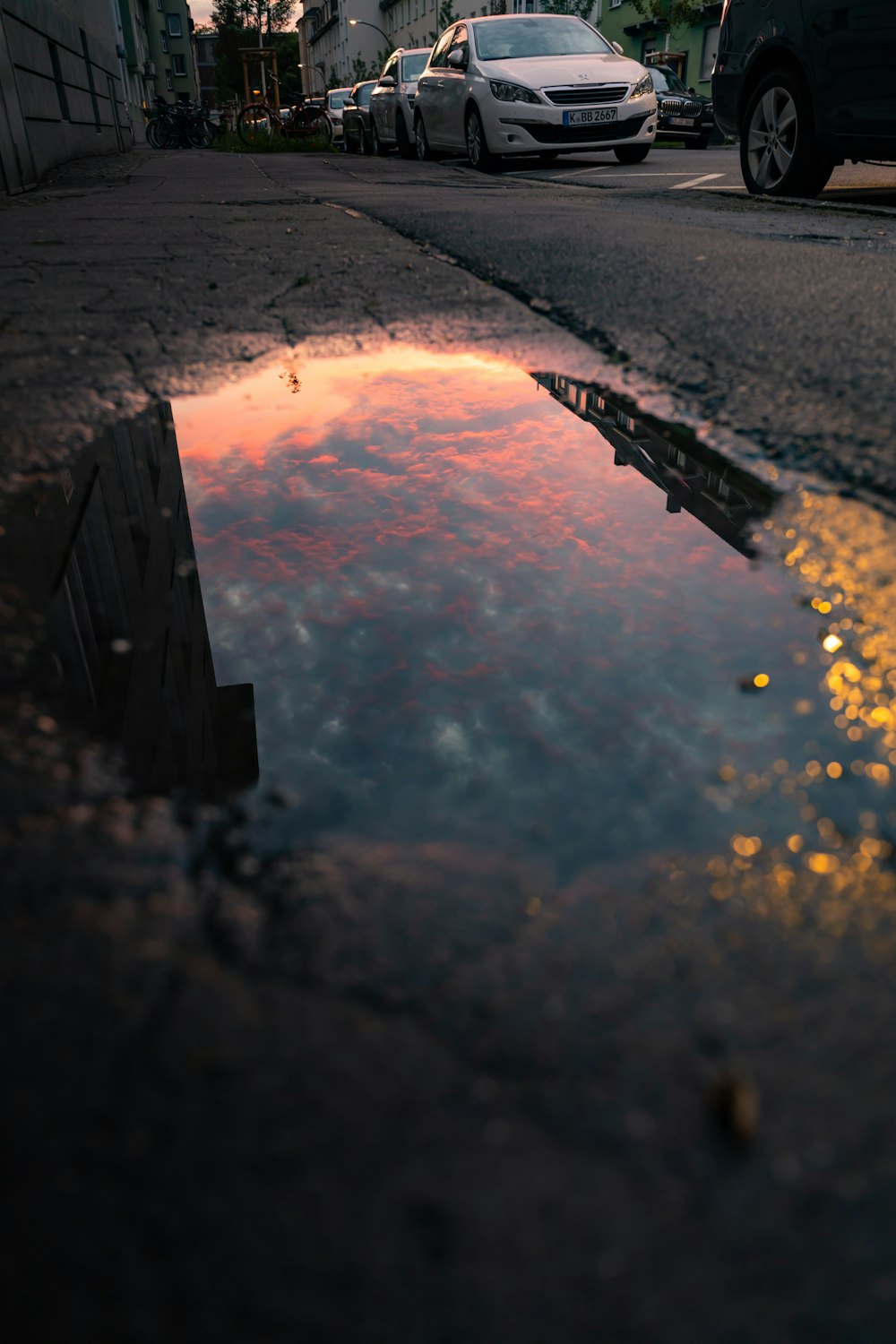 brown wooden fence on body of water during sunset