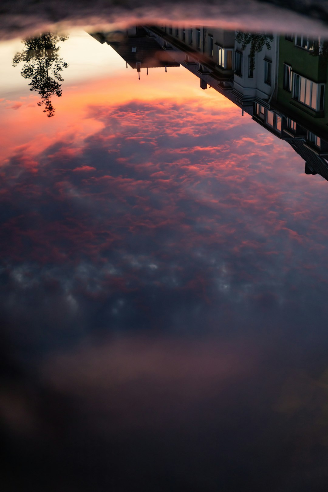 silhouette of trees under cloudy sky during sunset