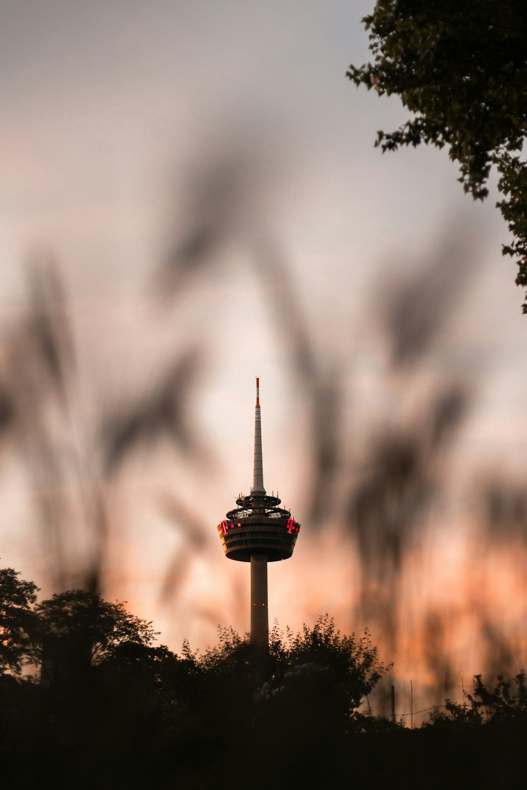 red and black tower with green trees in the distance