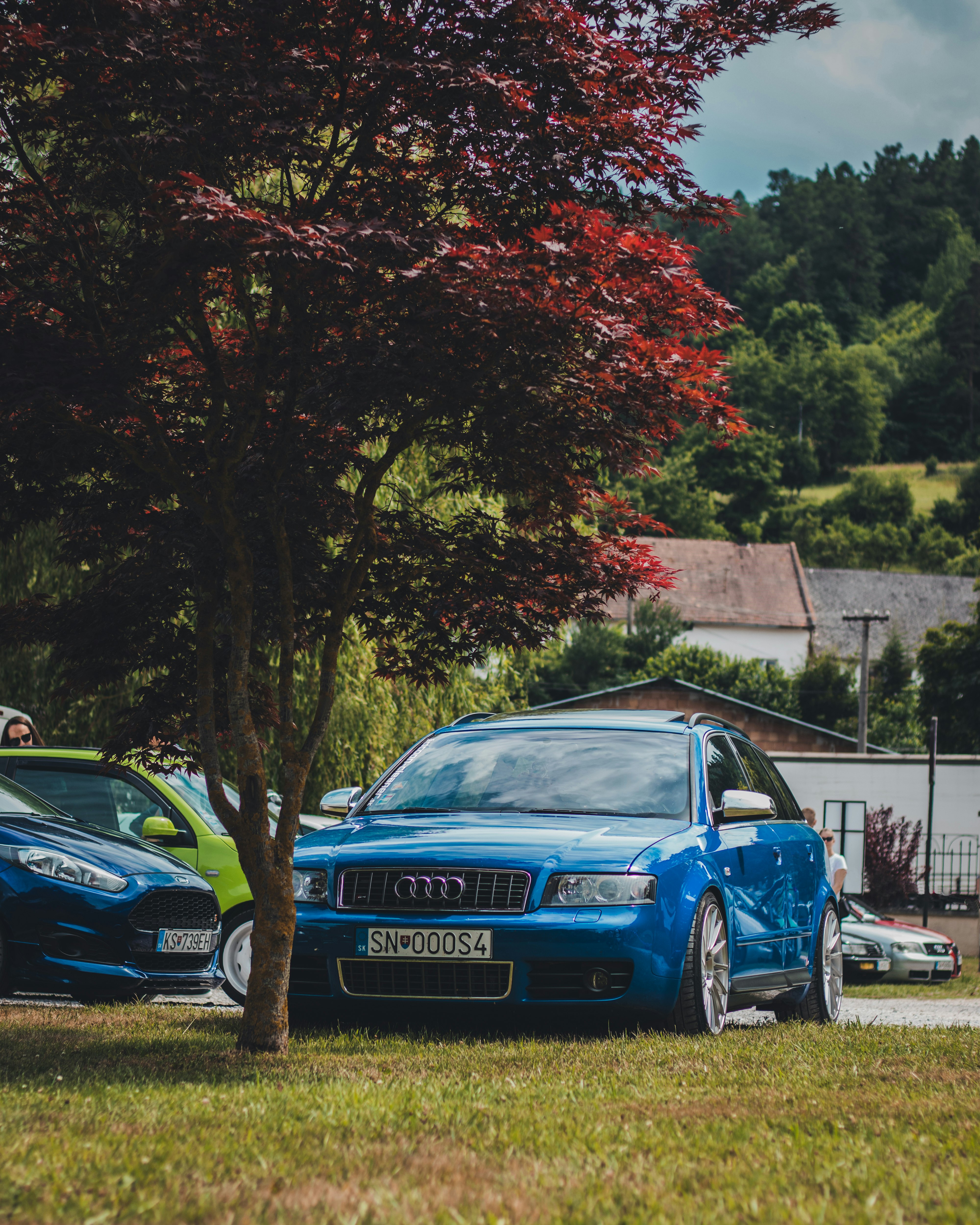 blue audi coupe parked beside green and brown tree during daytime