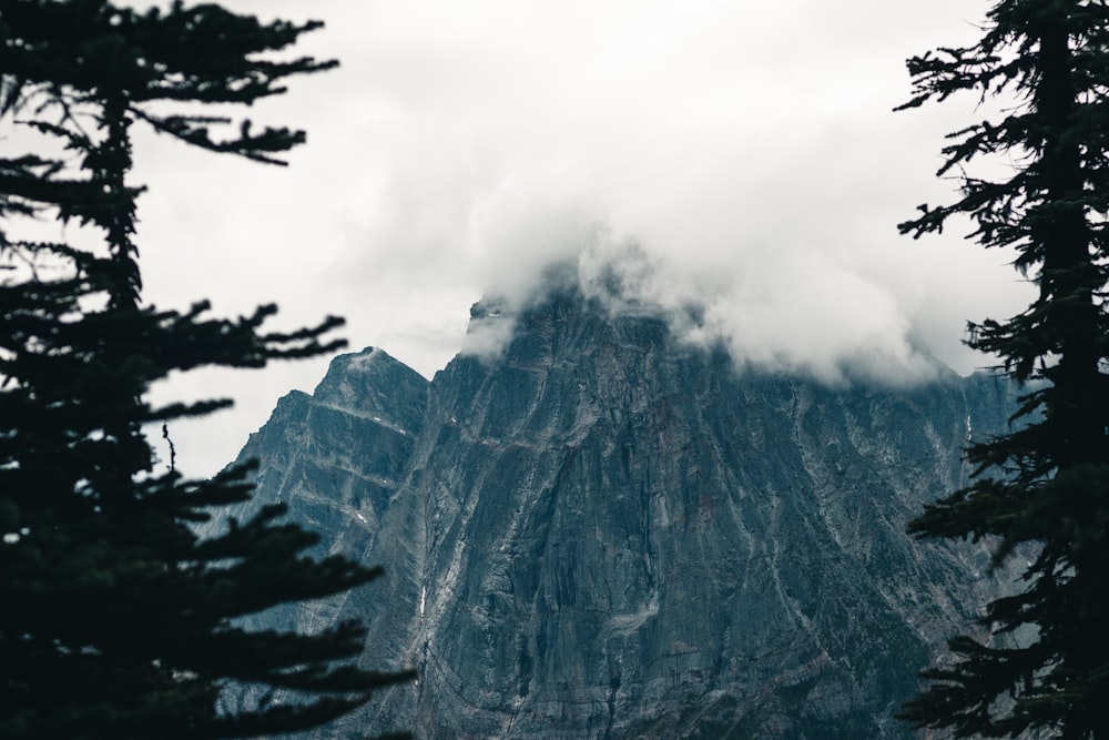 birds flying over mountain covered with clouds