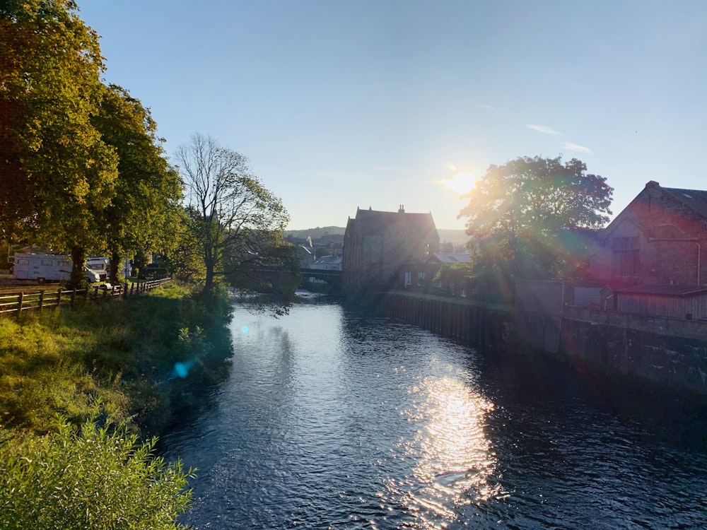 green trees beside river under blue sky during daytime