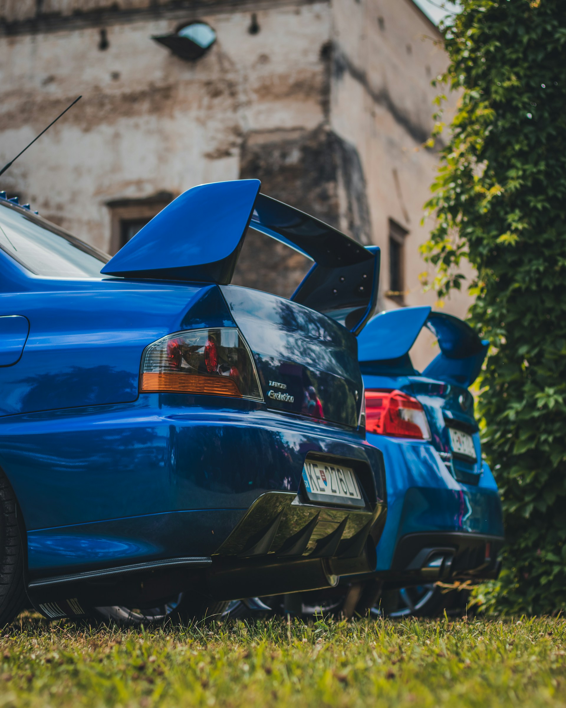 blue car parked beside green plants during daytime