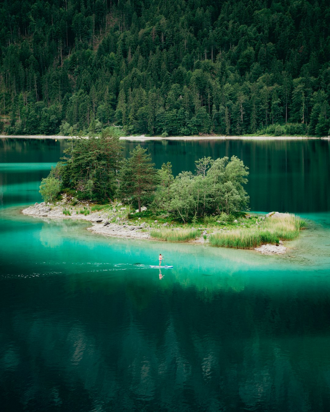 green lake surrounded by green trees during daytime