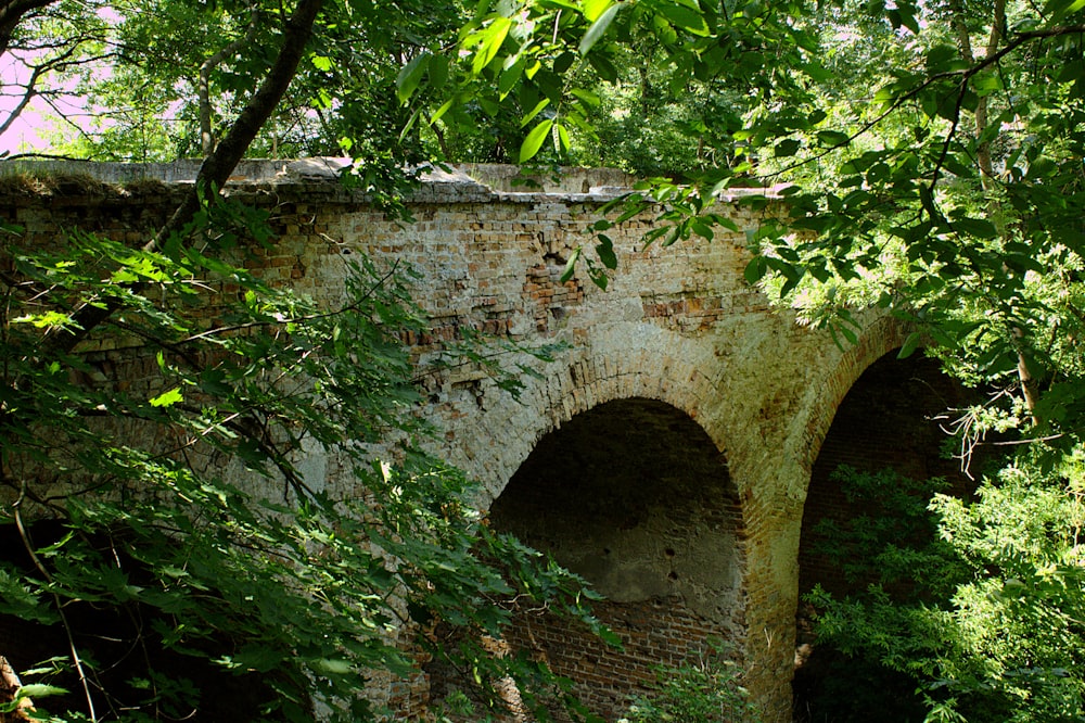 green and brown concrete bridge