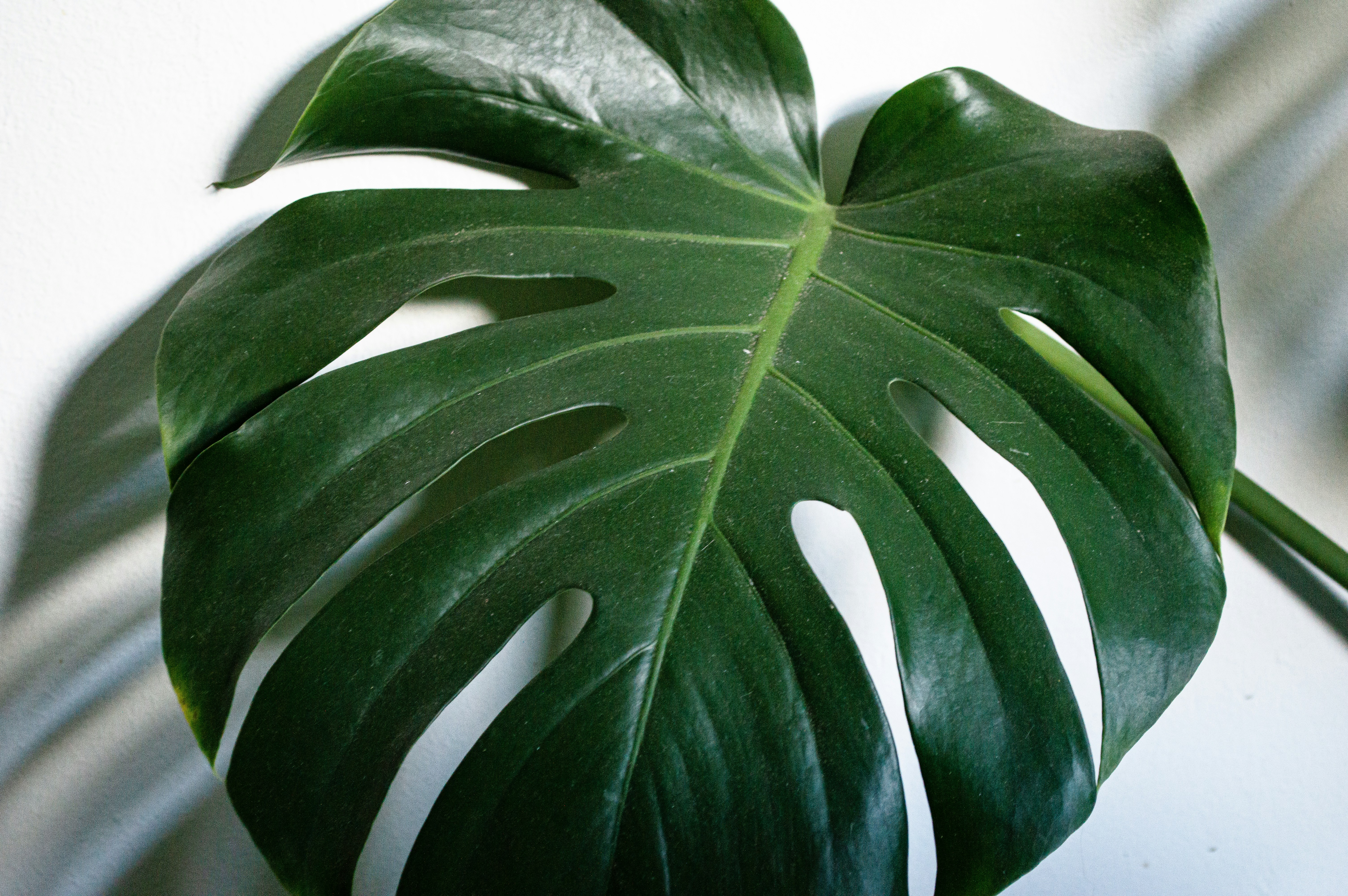 Photo by username_unknown1