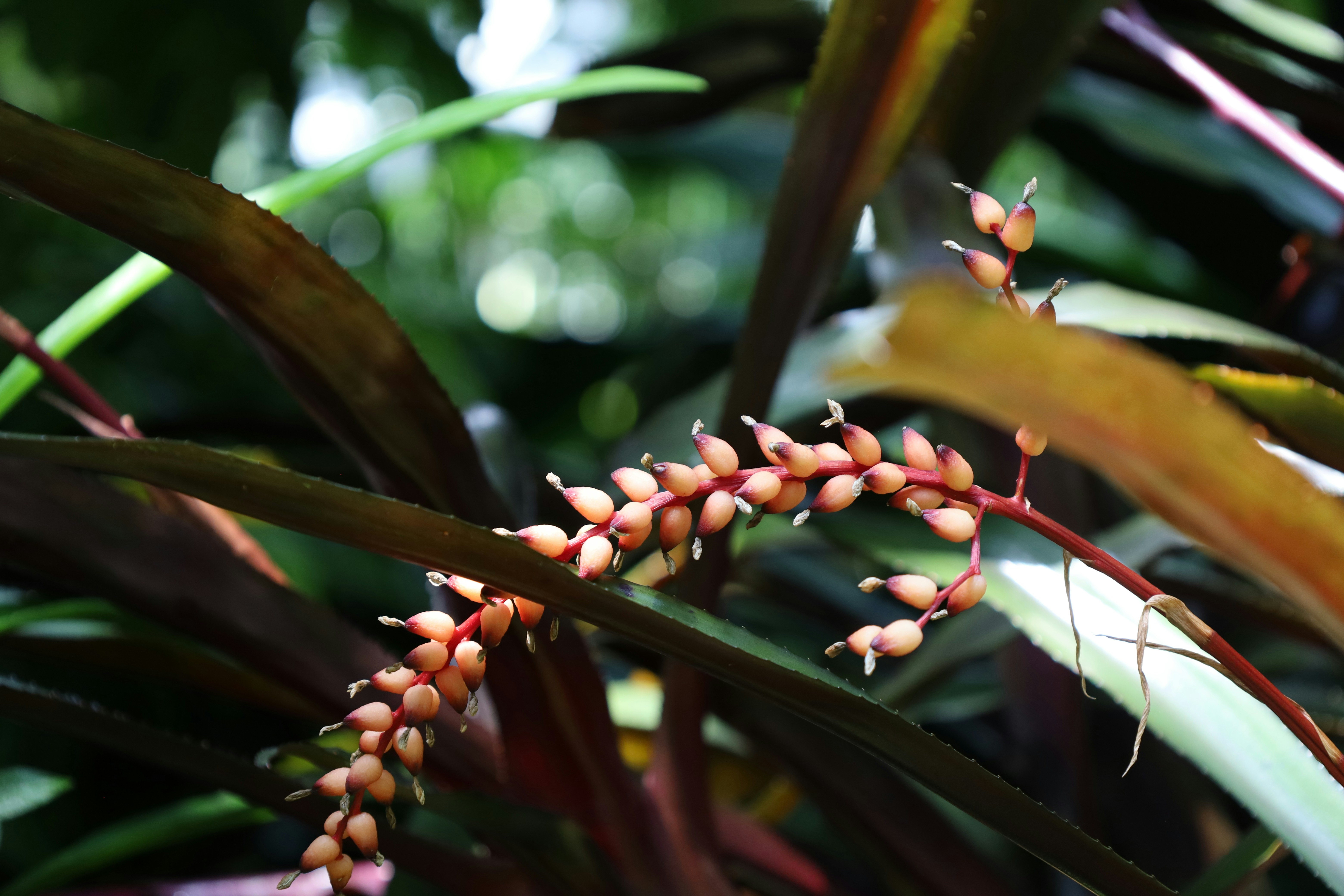 Photo by cokakukeran