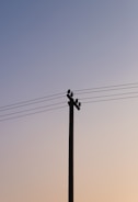 black light post under gray sky