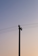 black light post under gray sky