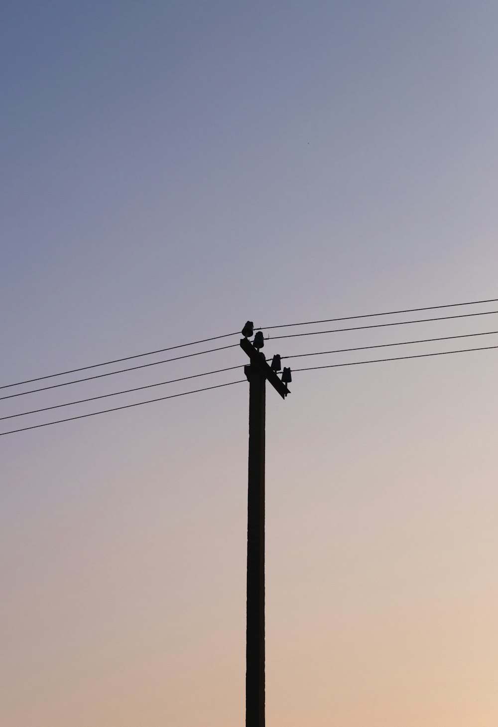 black light post under gray sky