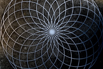 white and black round illustration