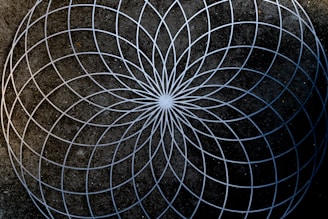 white and black round illustration