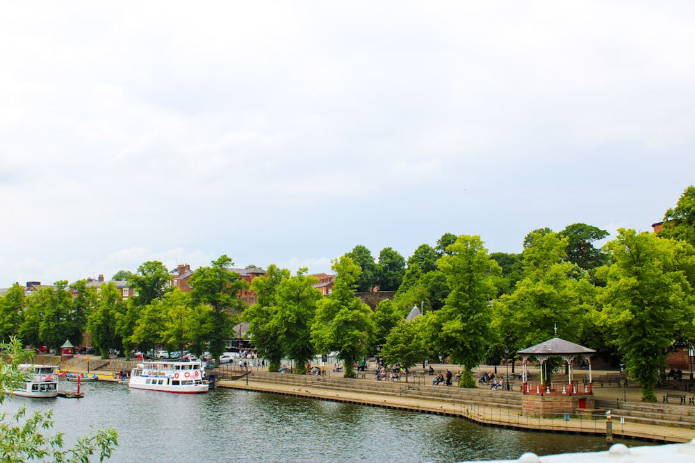 green trees near body of water during daytime