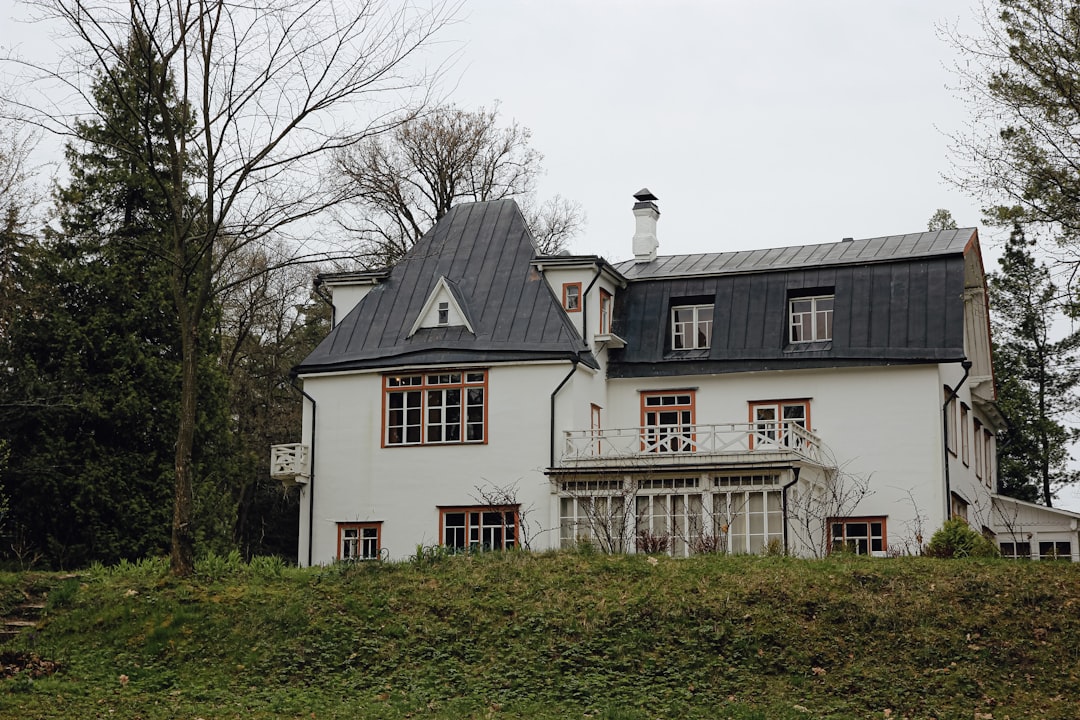 white and black 2 storey house