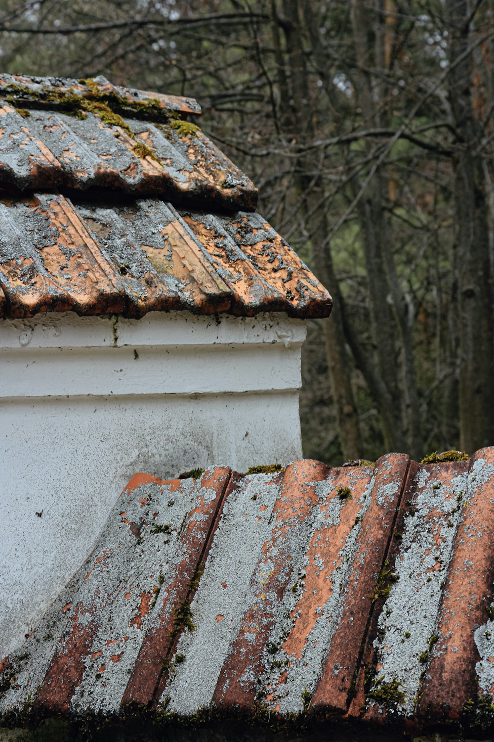 brown roof tiles on white wooden wall