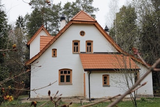 white and brown concrete house