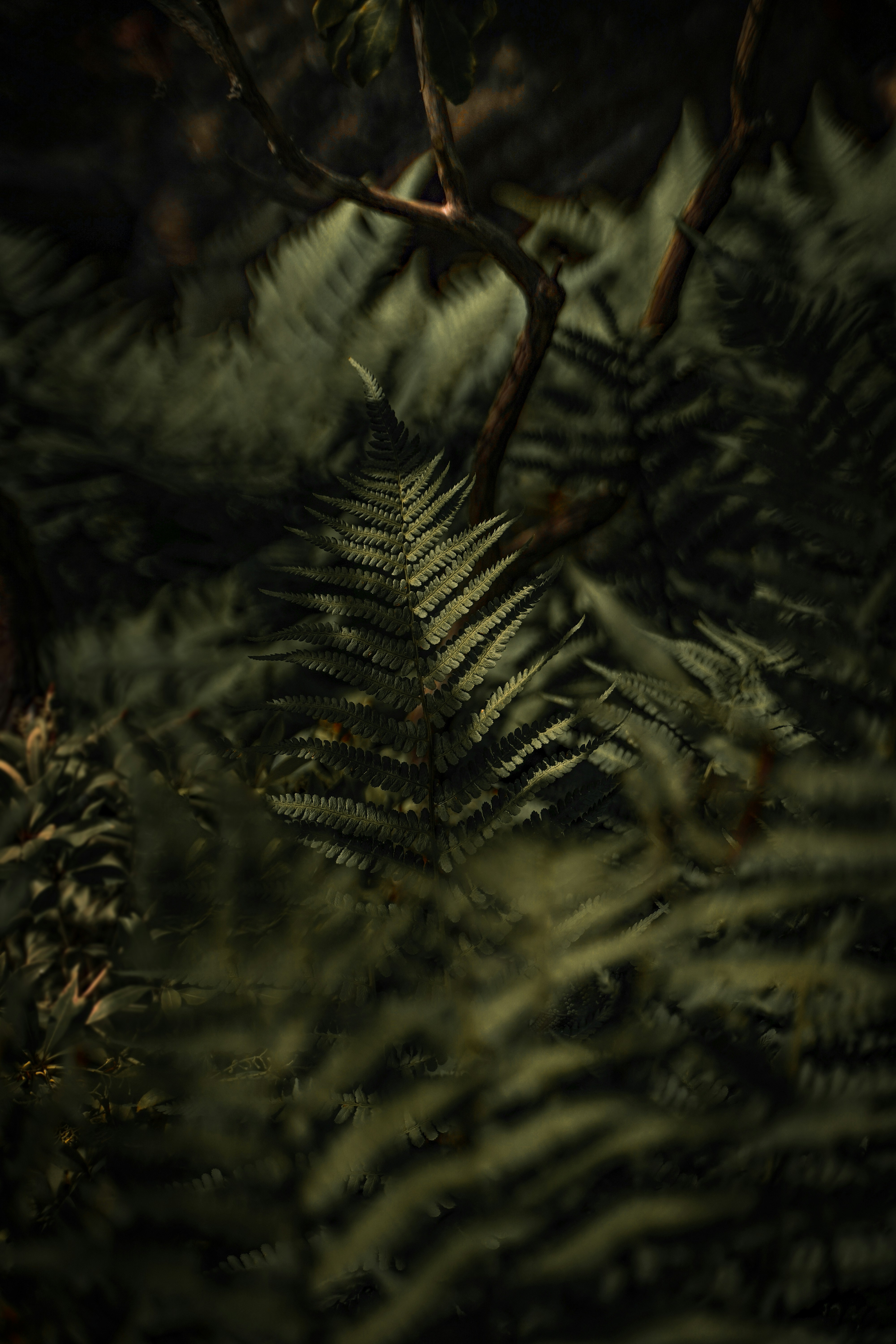 Photo by leandrarieger