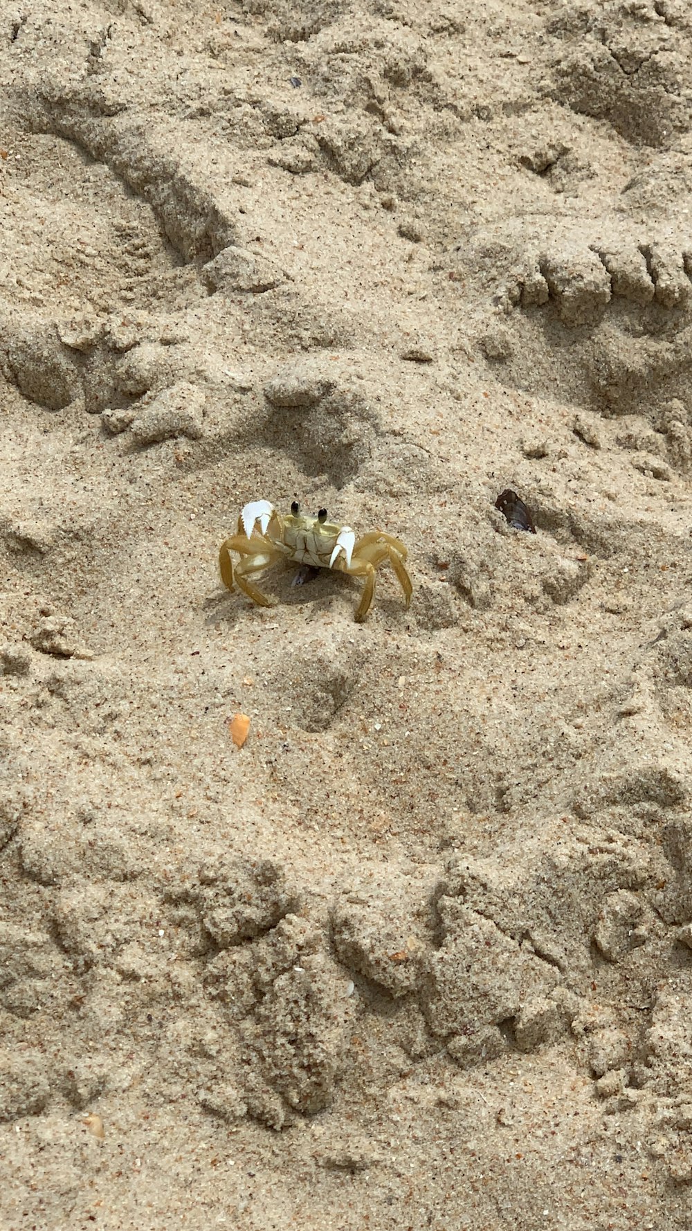white and yellow robot on brown sand during daytime