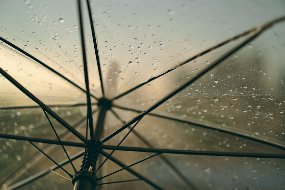 water droplets on clear umbrella