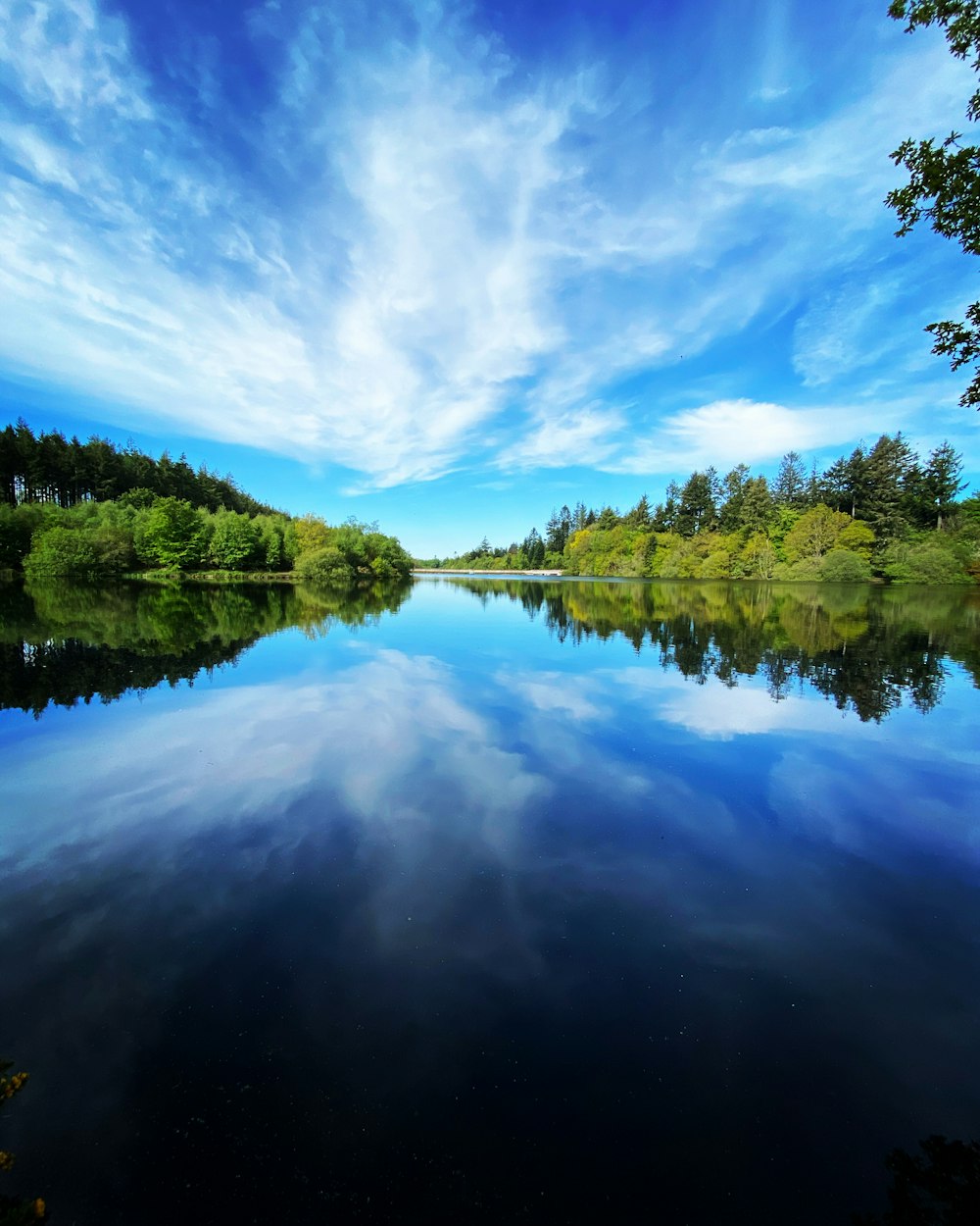 green trees beside lake under blue sky during daytime