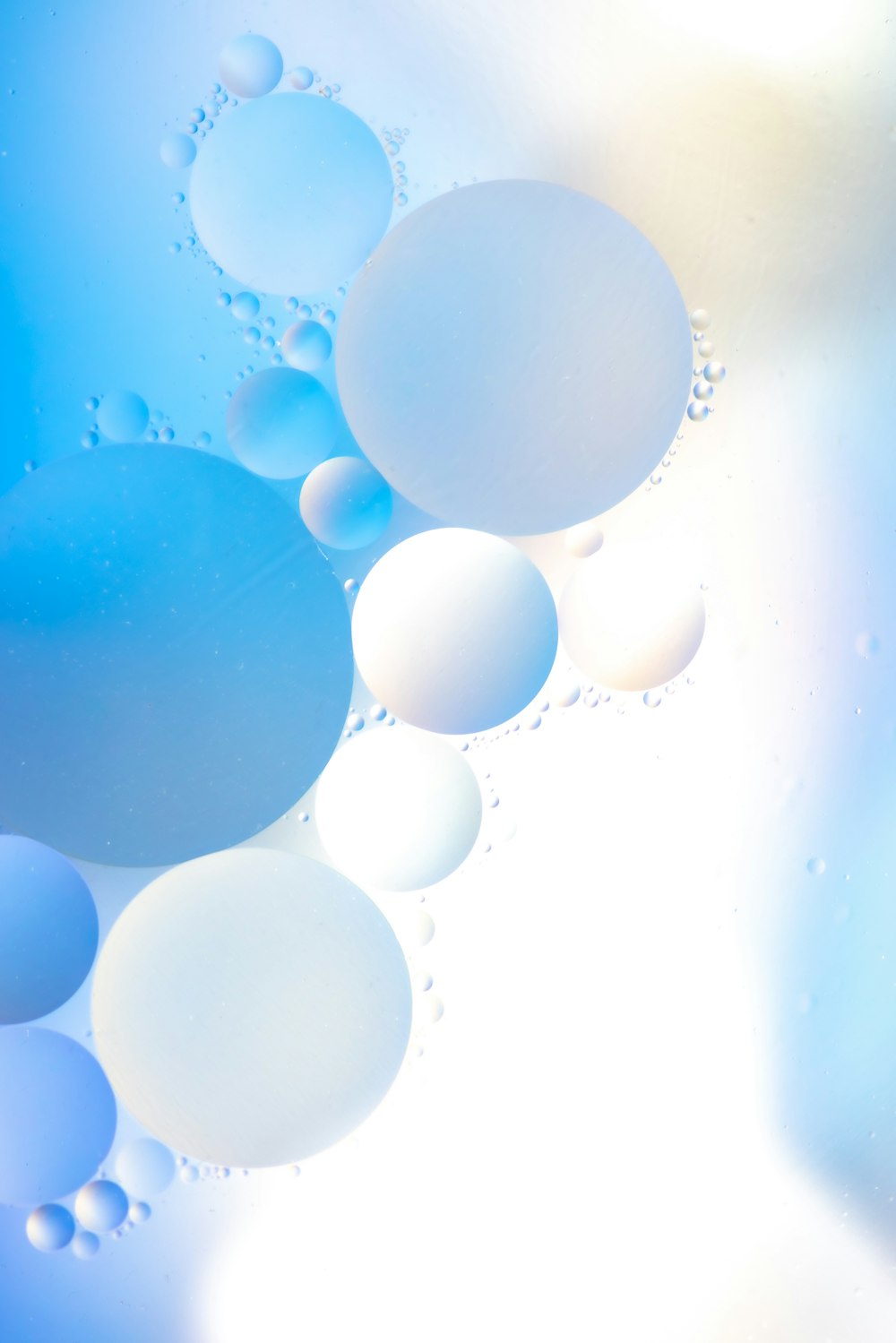 white balloons on water during daytime