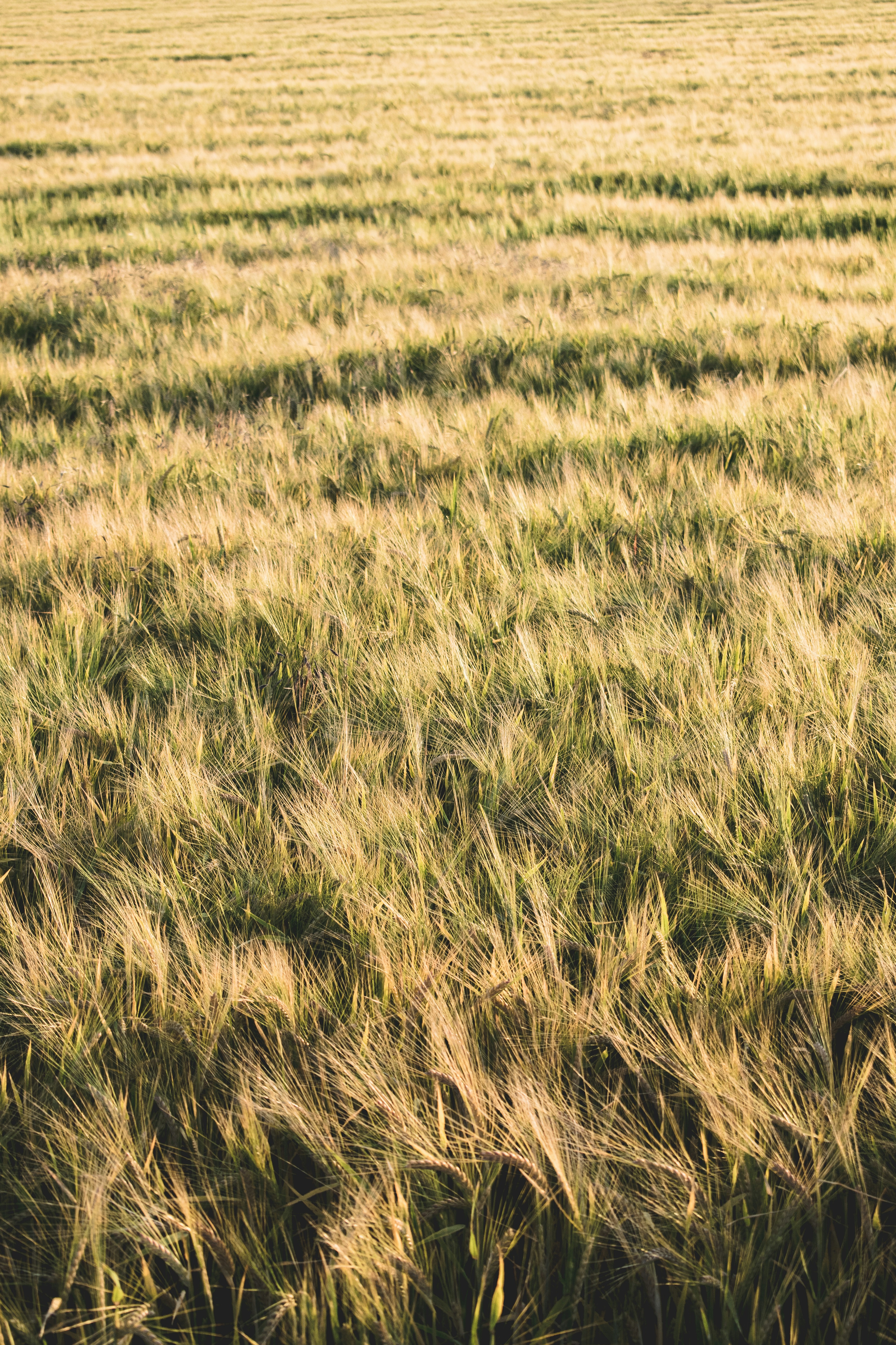 Photo by mikulecmichal