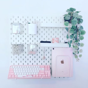 A minimalist and organized wall-mounted storage system featuring a variety of items including a pink and white keyboard, a tablet with a pink case, several small containers holding accessories, and a hanging pot with leafy green plants. The overall color scheme is pastel and soothing, with neat arrangement facilitating both functionality and aesthetics.