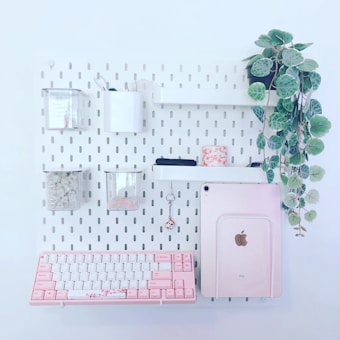 A minimalist and organized wall-mounted storage system featuring a variety of items including a pink and white keyboard, a tablet with a pink case, several small containers holding accessories, and a hanging pot with leafy green plants. The overall color scheme is pastel and soothing, with neat arrangement facilitating both functionality and aesthetics.