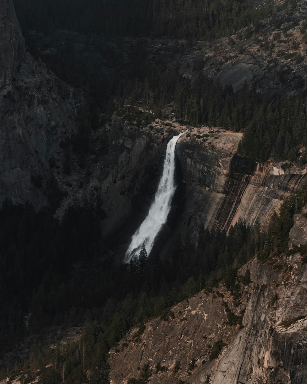 waterfalls in forest during daytime