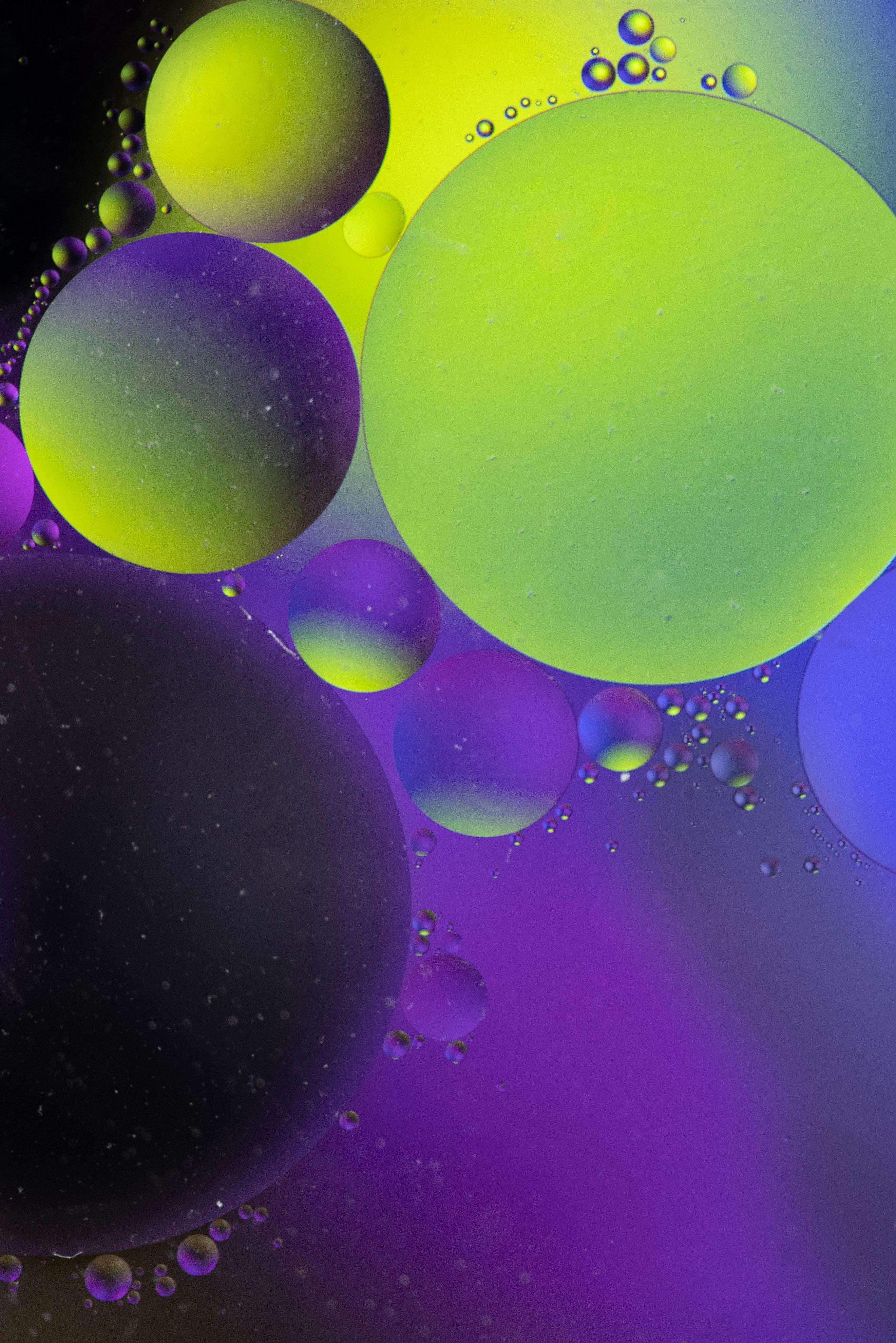 Photo by solenfeyissa