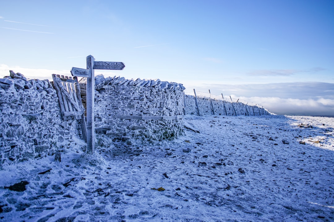 gray wooden fence on white sand during daytime