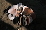 A collection of assorted seashells scattered along a beach at sunset, glowing with warm light.
