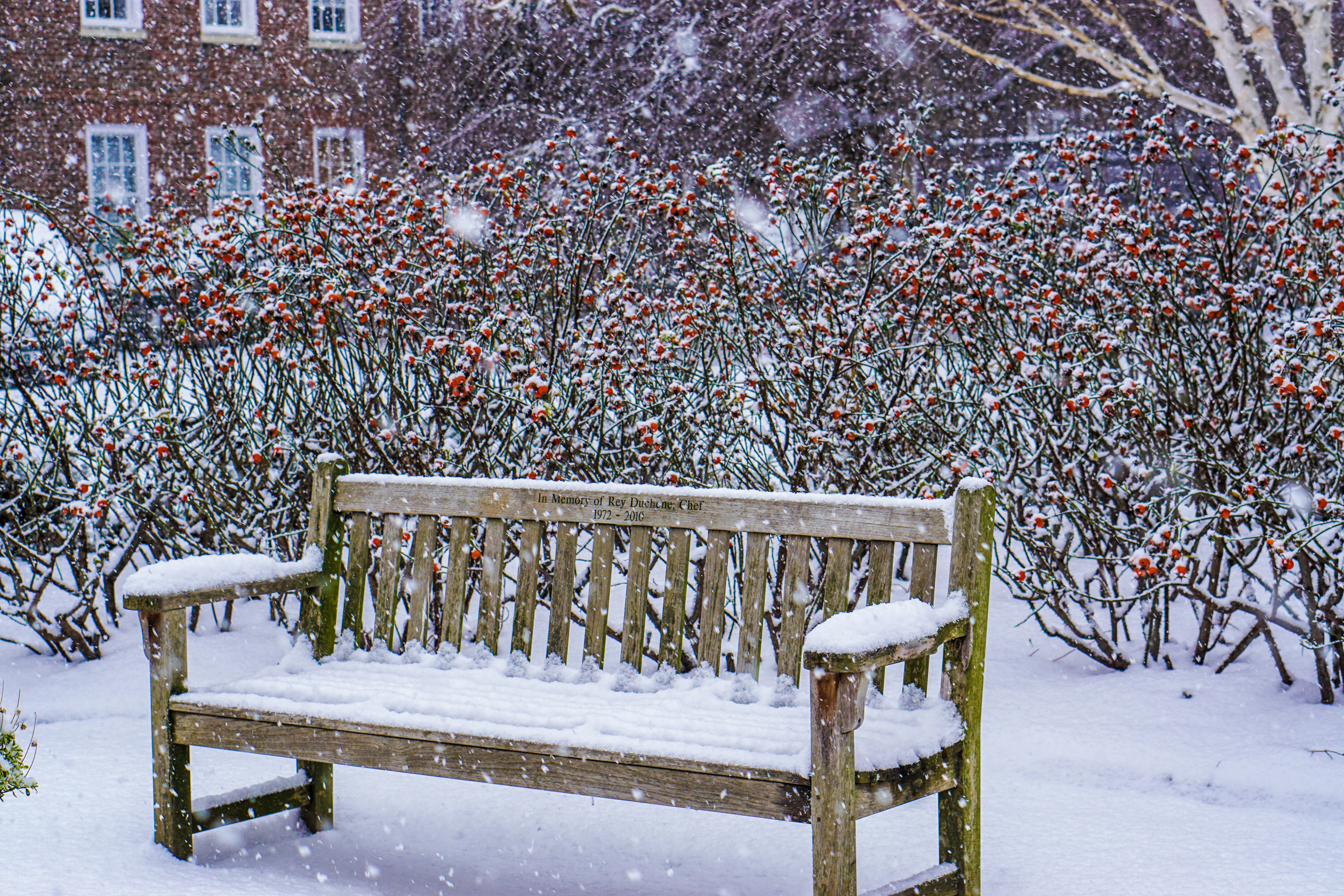 Brown wooden bench covered with snow photo – Free Winter Image on Unsplash