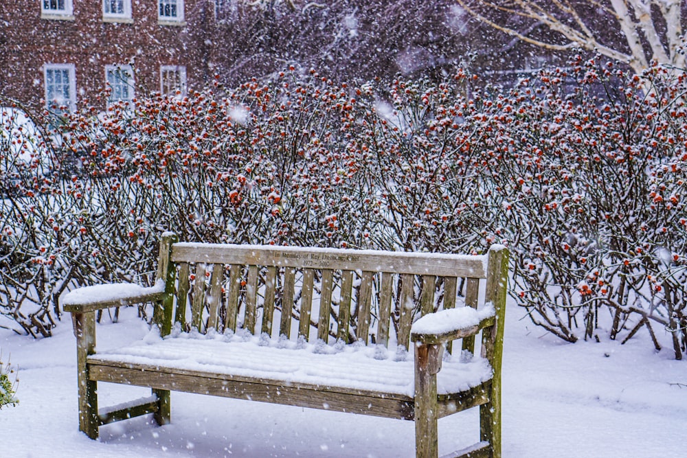 brown wooden bench covered with snow