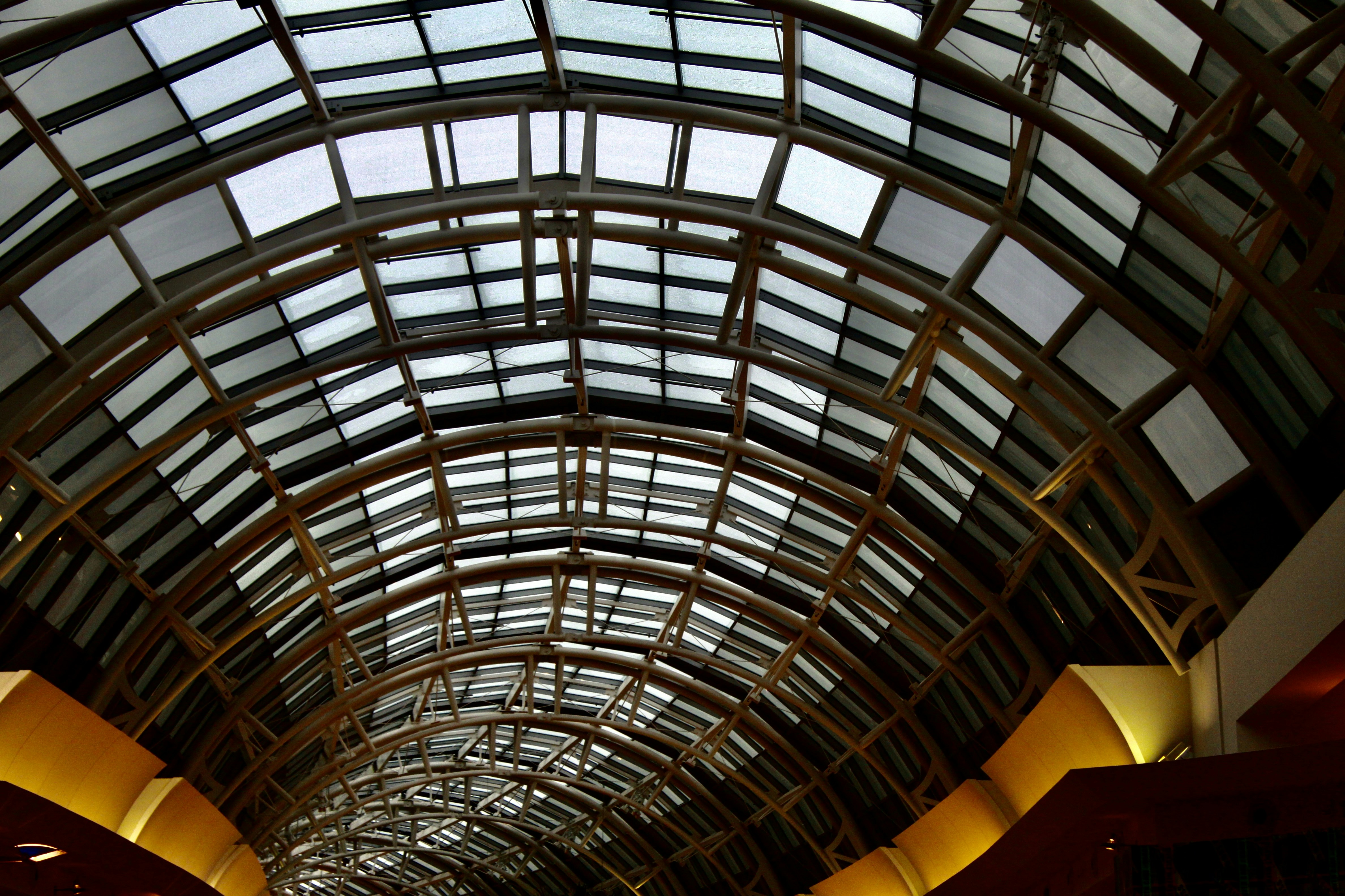 Photo by covershotsphotos