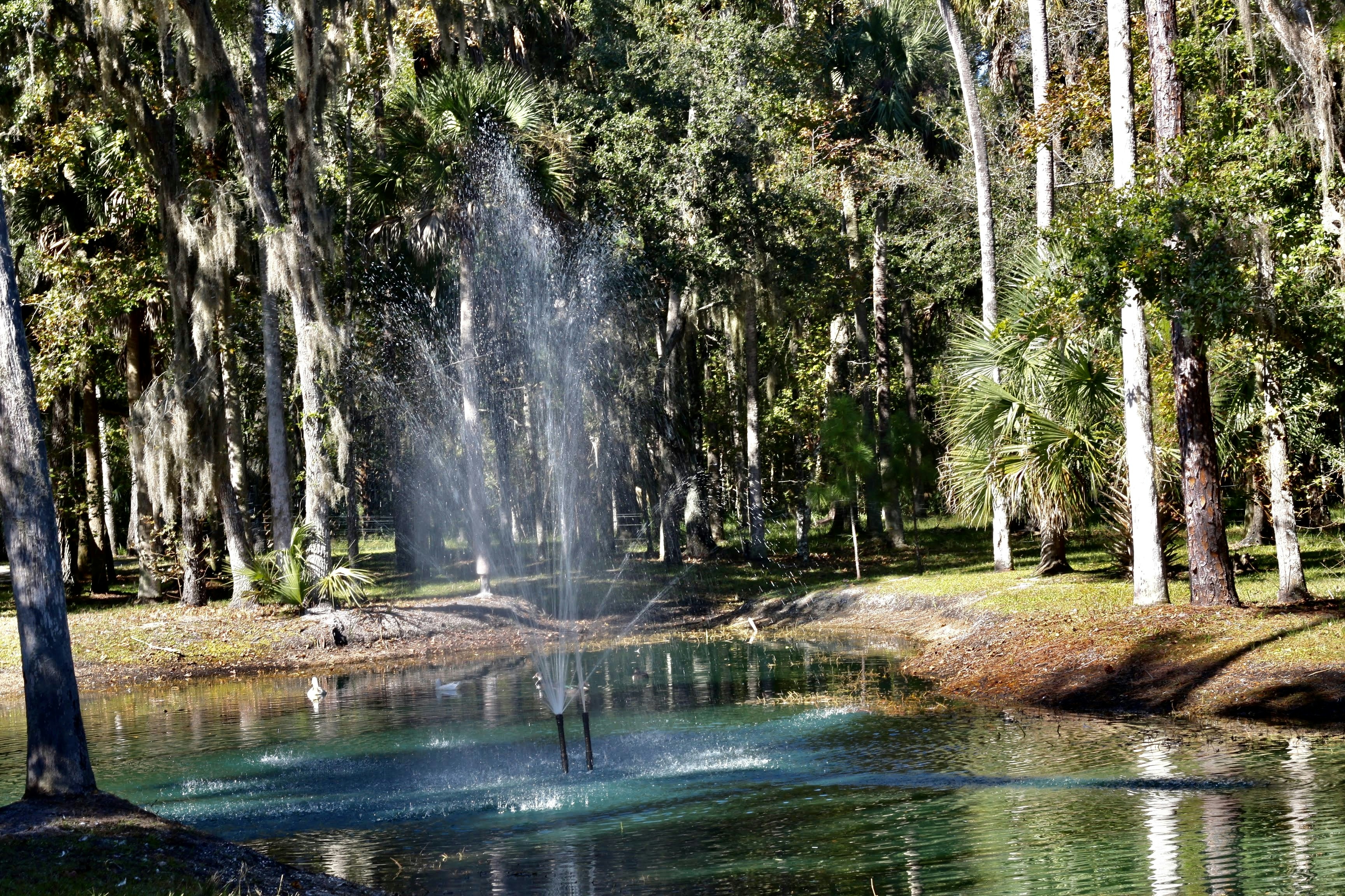 photo 1625528605737 c05df383344b?crop=entropy&cs=tinysrgb&fit=max&fm=jpg&ixid=M3w1MjQ0NjR8MHwxfHNlYXJjaHwxOHx8UGVzdCUyMENvbnRyb2wlMjBTZXJ2aWNlJTIwQWx0YW1vbnRlJTIwU3ByaW5ncyUyMEZsb3JpZGF8ZW58MHwwfHx8MTc2MDMxOTQ4M3ww&ixlib=rb 4.1