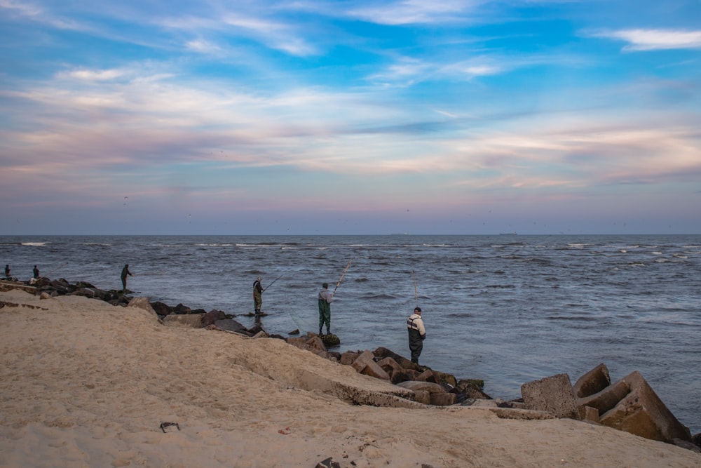 people on beach during daytime