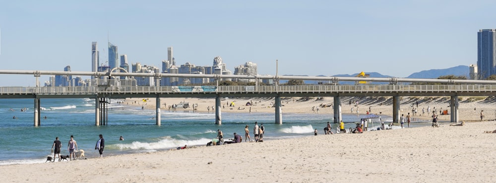 people on beach during daytime