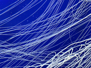 Dark blue data streams flow silently like the deep sea, wrapped in faint optical fibers shrouded in mist.