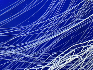 Dark blue data streams flow silently like the deep sea, wrapped in faint optical fibers shrouded in mist.