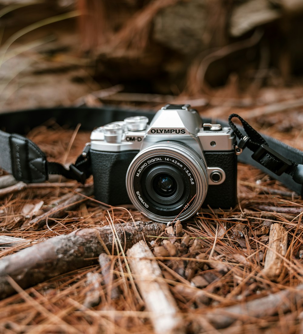 Schwarz-Silber Nikon DSLR-Kamera auf braunen getrockneten Blättern
