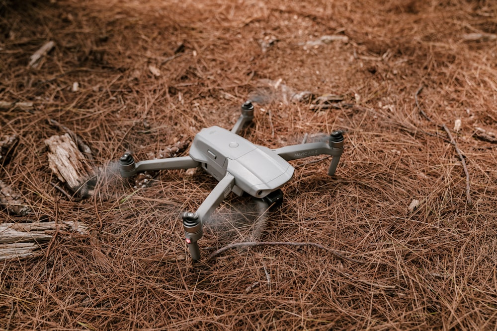 white and black drone on brown dried grass