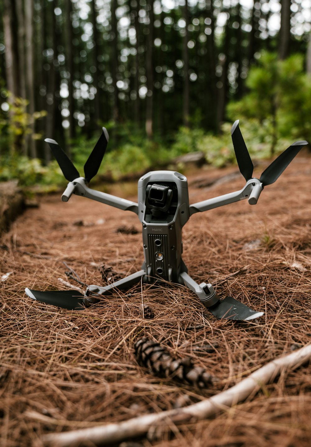 black and gray drone on brown dried leaves