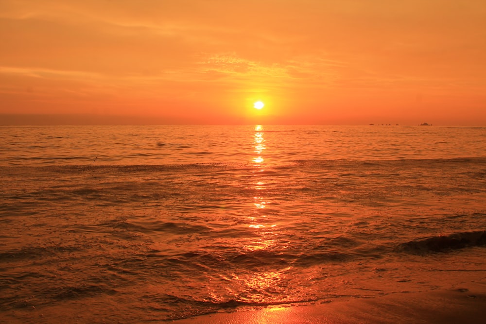 body of water during sunset