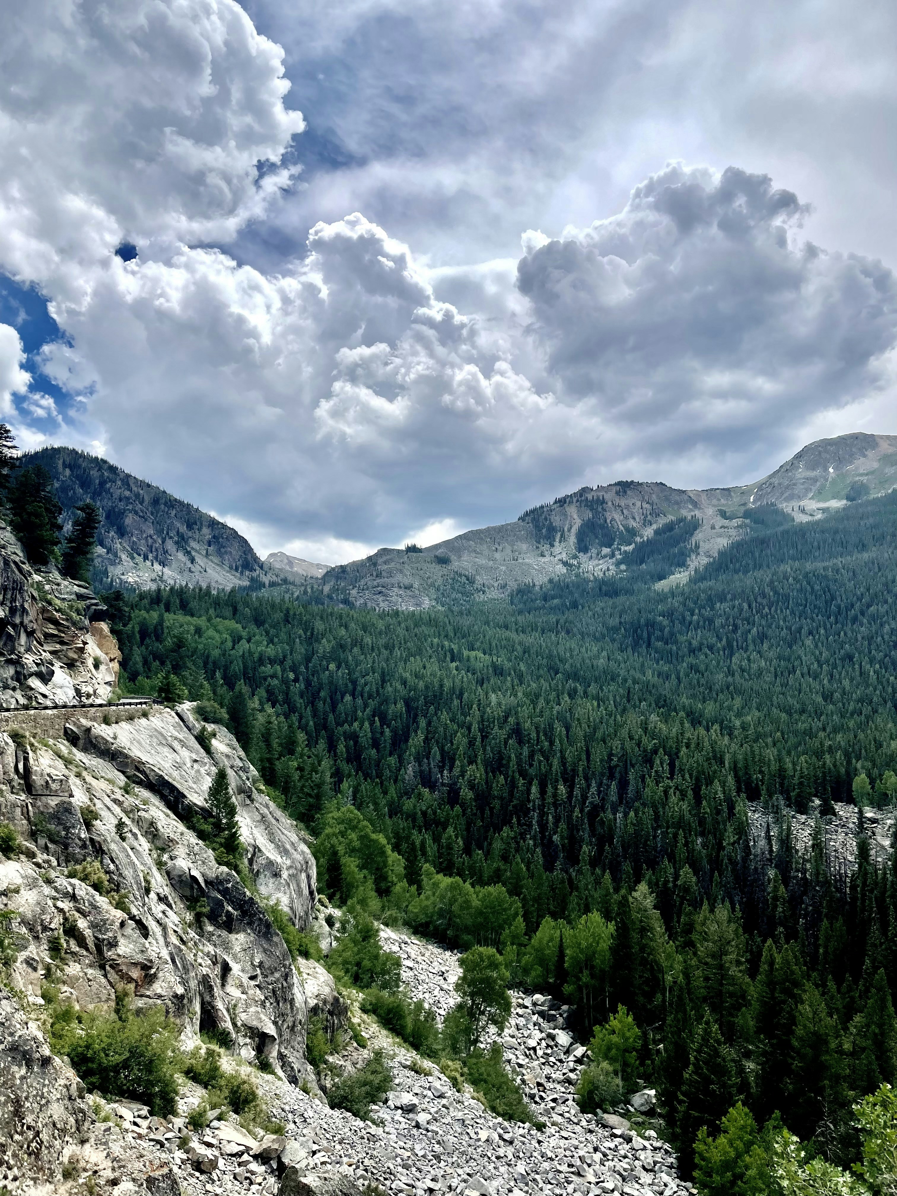 Photo by laitonbarbo