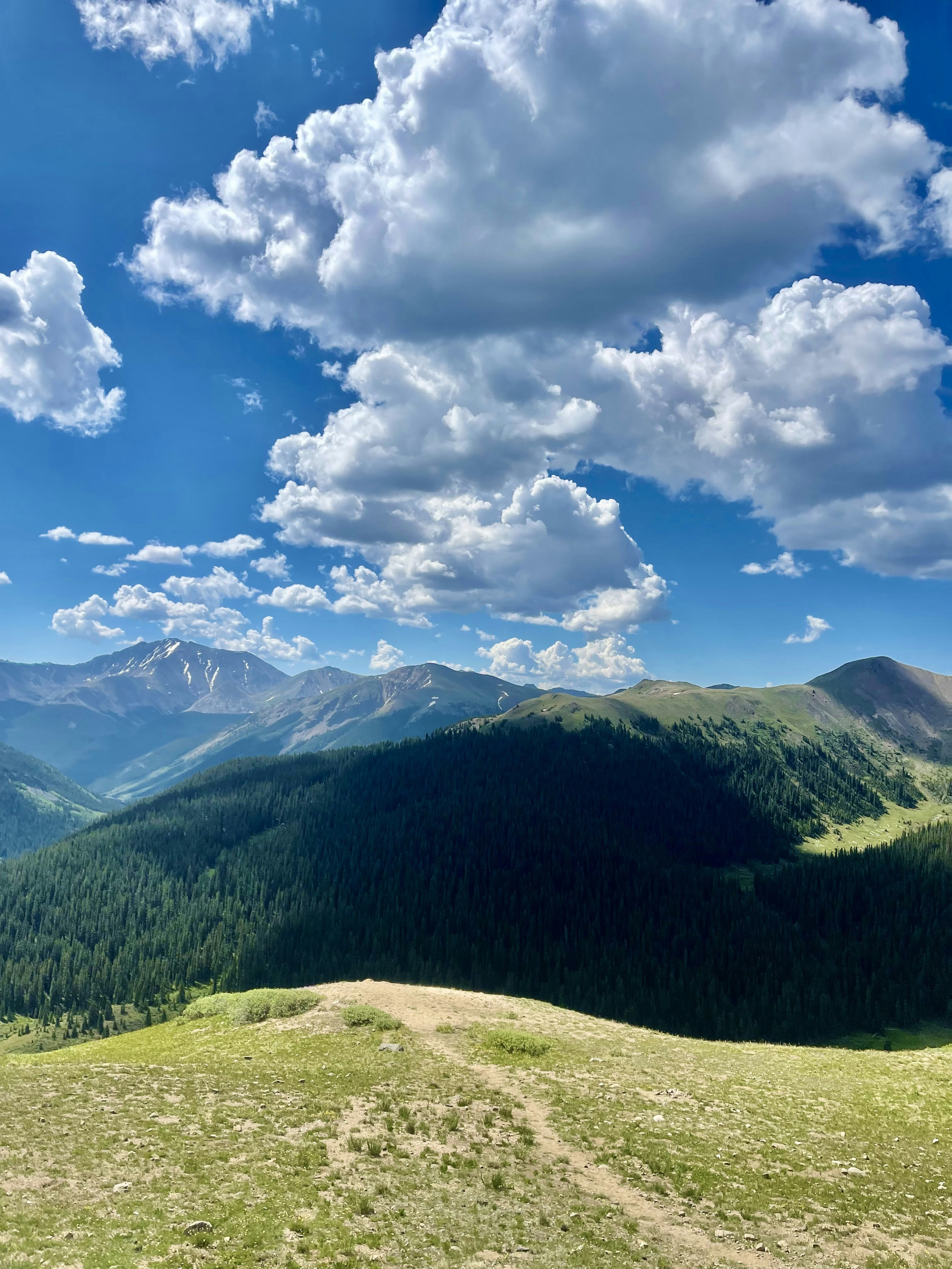 Photo by laitonbarbo