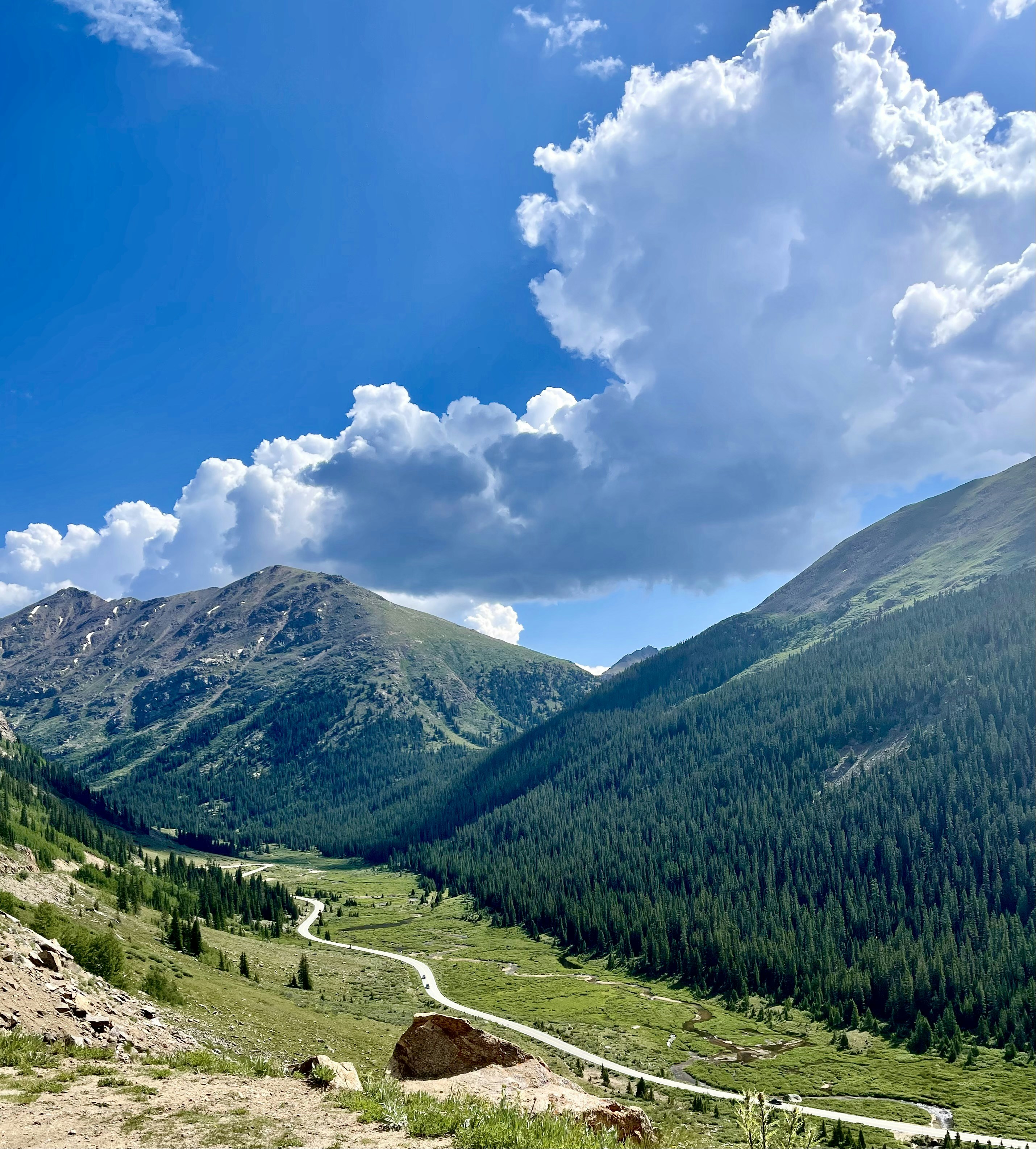 Photo by laitonbarbo