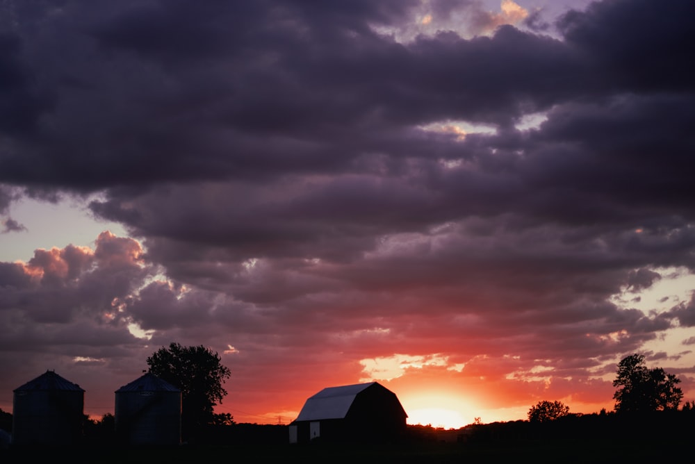 silhouette of trees under cloudy sky during sunset