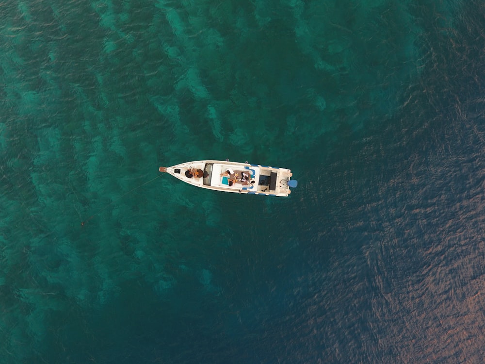 white and blue boat on body of water during daytime