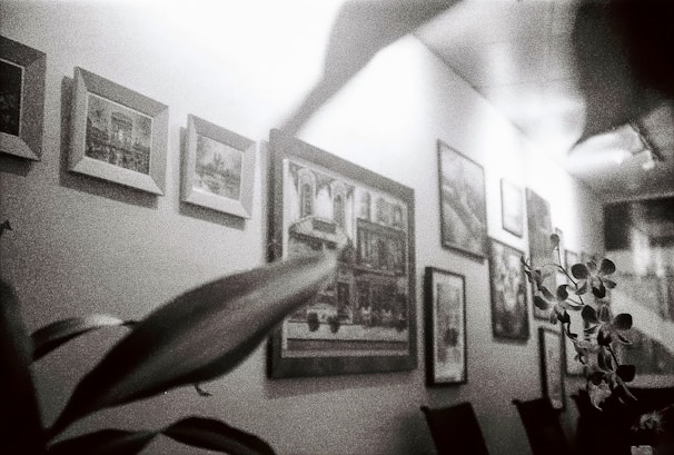 A wall adorned with framed artwork, including both photographs and paintings, displayed in various sizes. A plant with visible leaves is positioned in the foreground to the left, adding an element of nature to the indoor setting.
